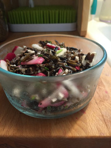 Wild rice salad